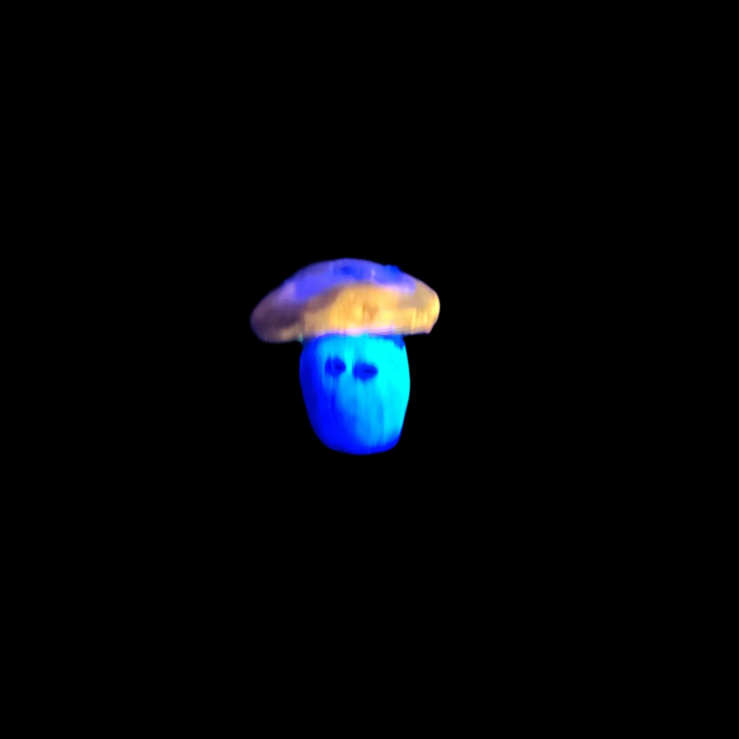 Blueberry Muffin Mushroom buddy *Blacklight/UV Light activated*