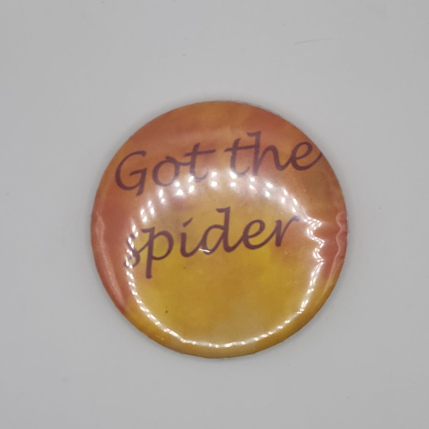 'Got the spider' pop opener