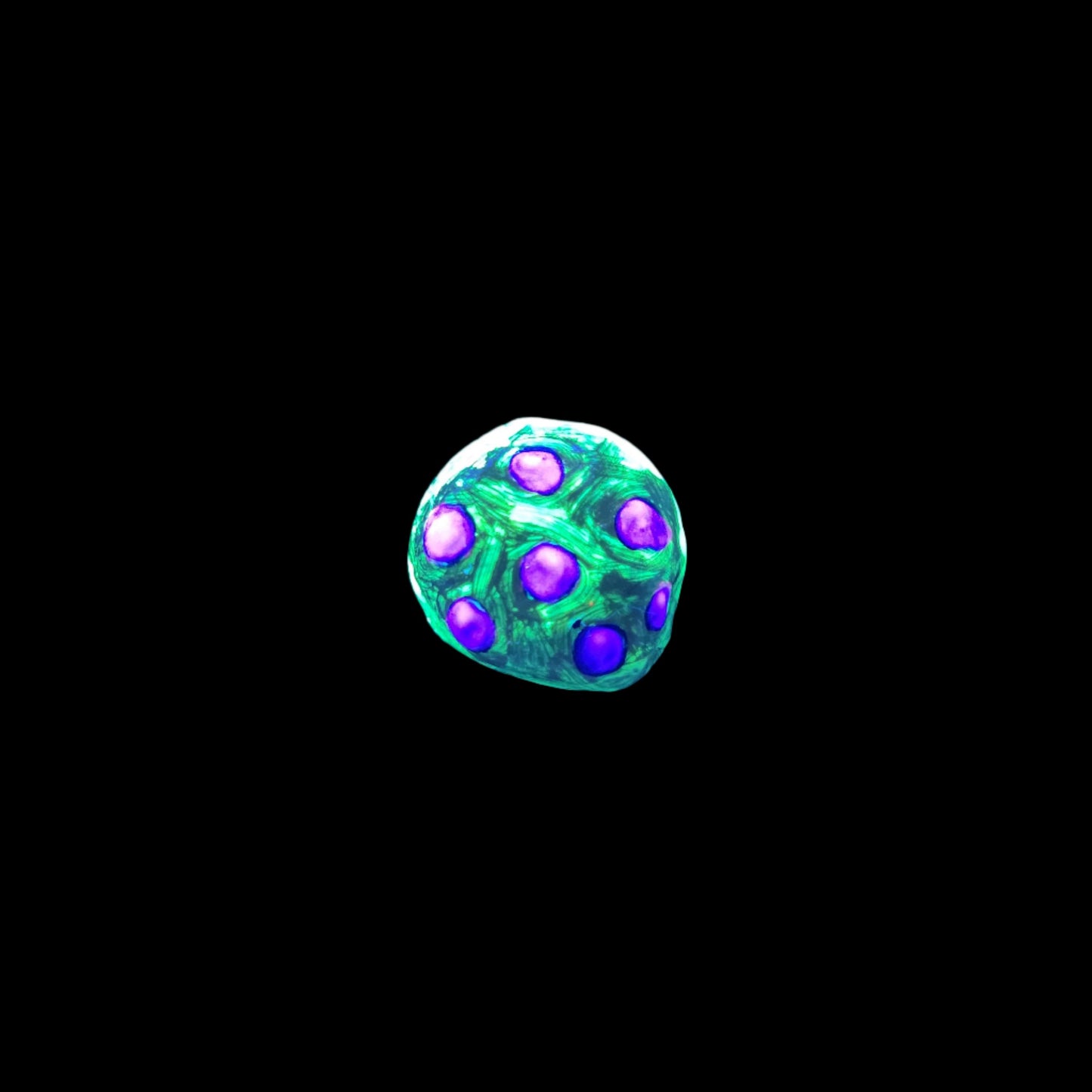 Yellow and purple Fairy step stone *Blacklight/UV activated*