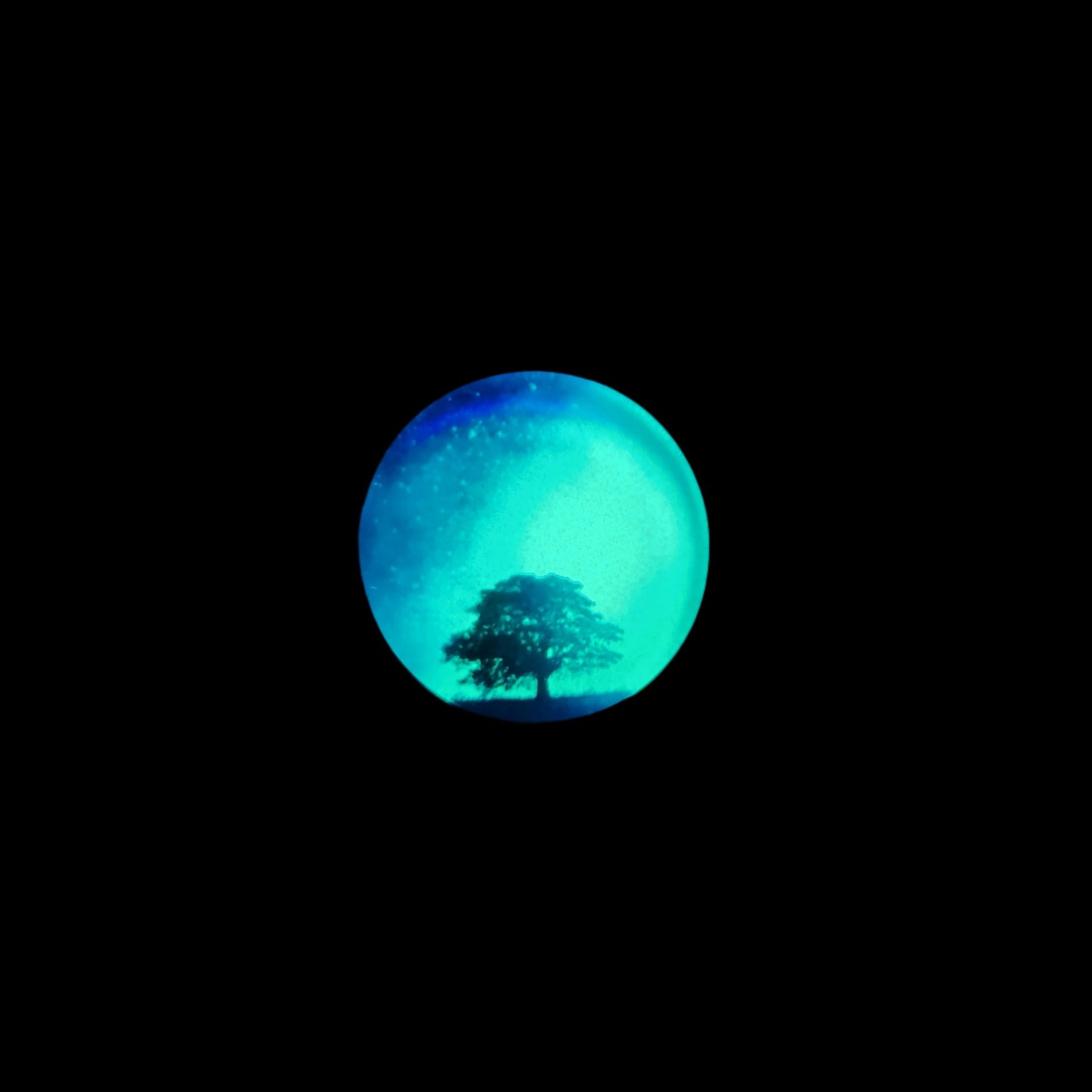 Tree silhouette refridgerator magnet *Glow in the dark*