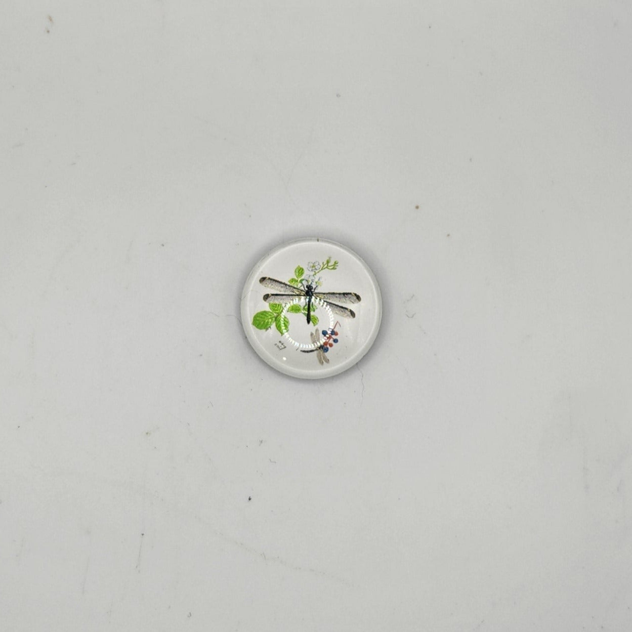 Dragonfly magnet