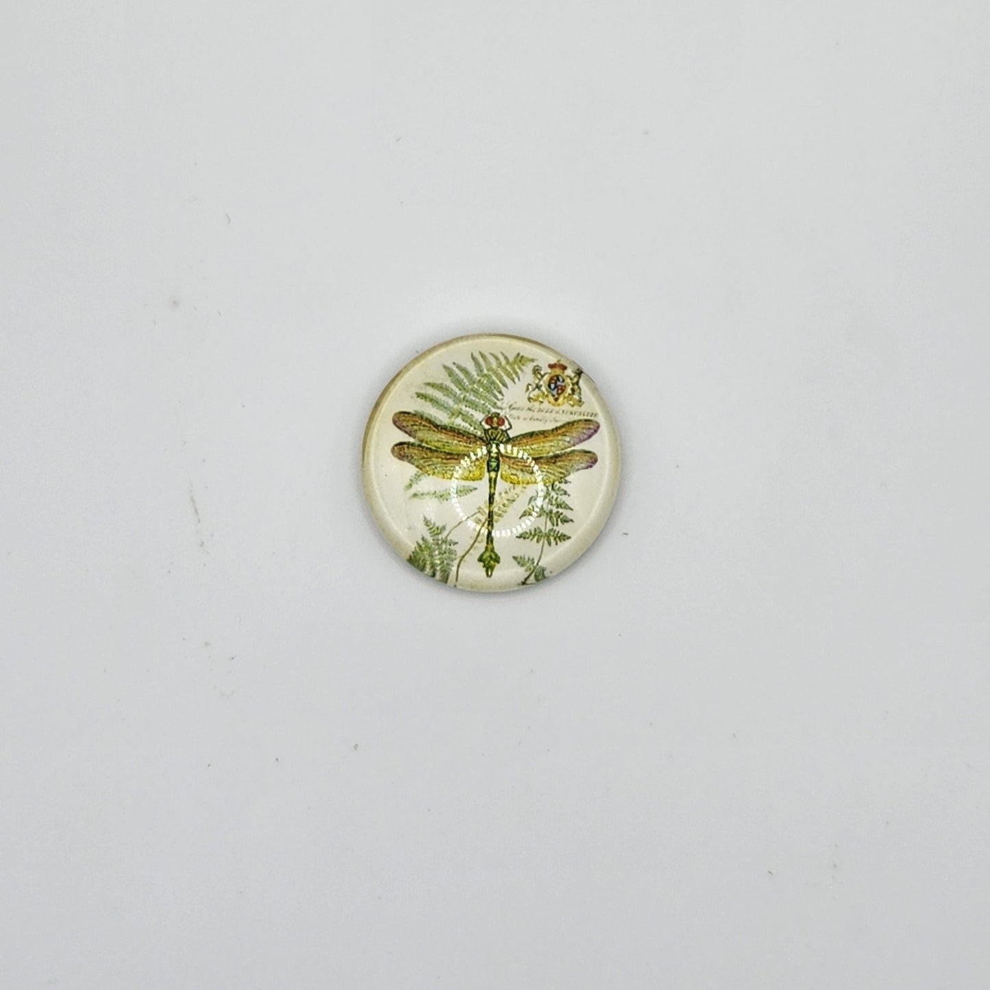 Fern dragonfly refridgerator magnet