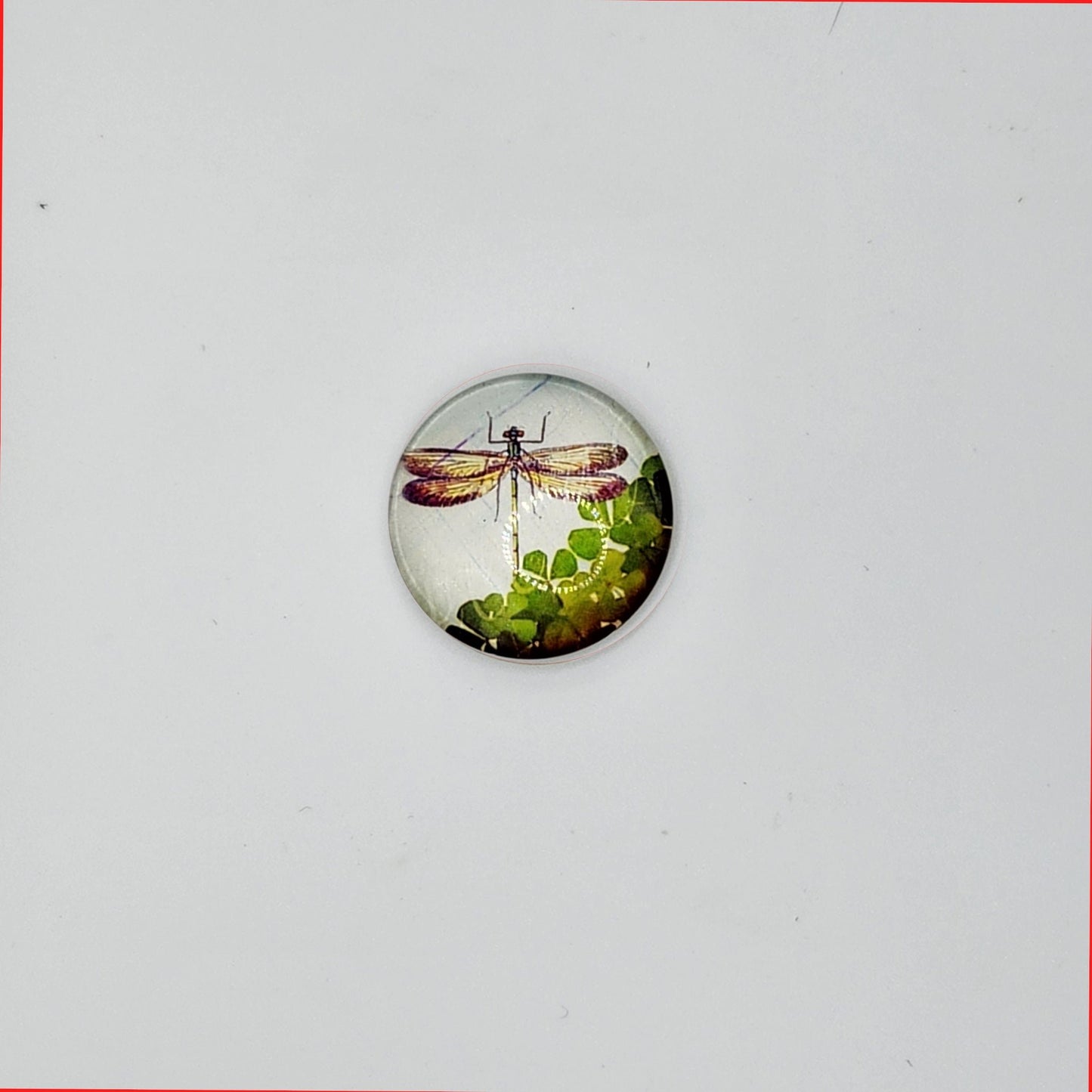 Dragonfly with foliage refridgerator magnet