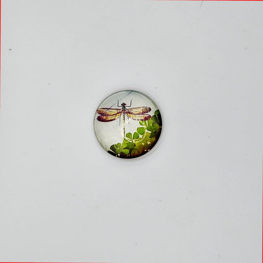 Dragonfly with foliage refridgerator magnet
