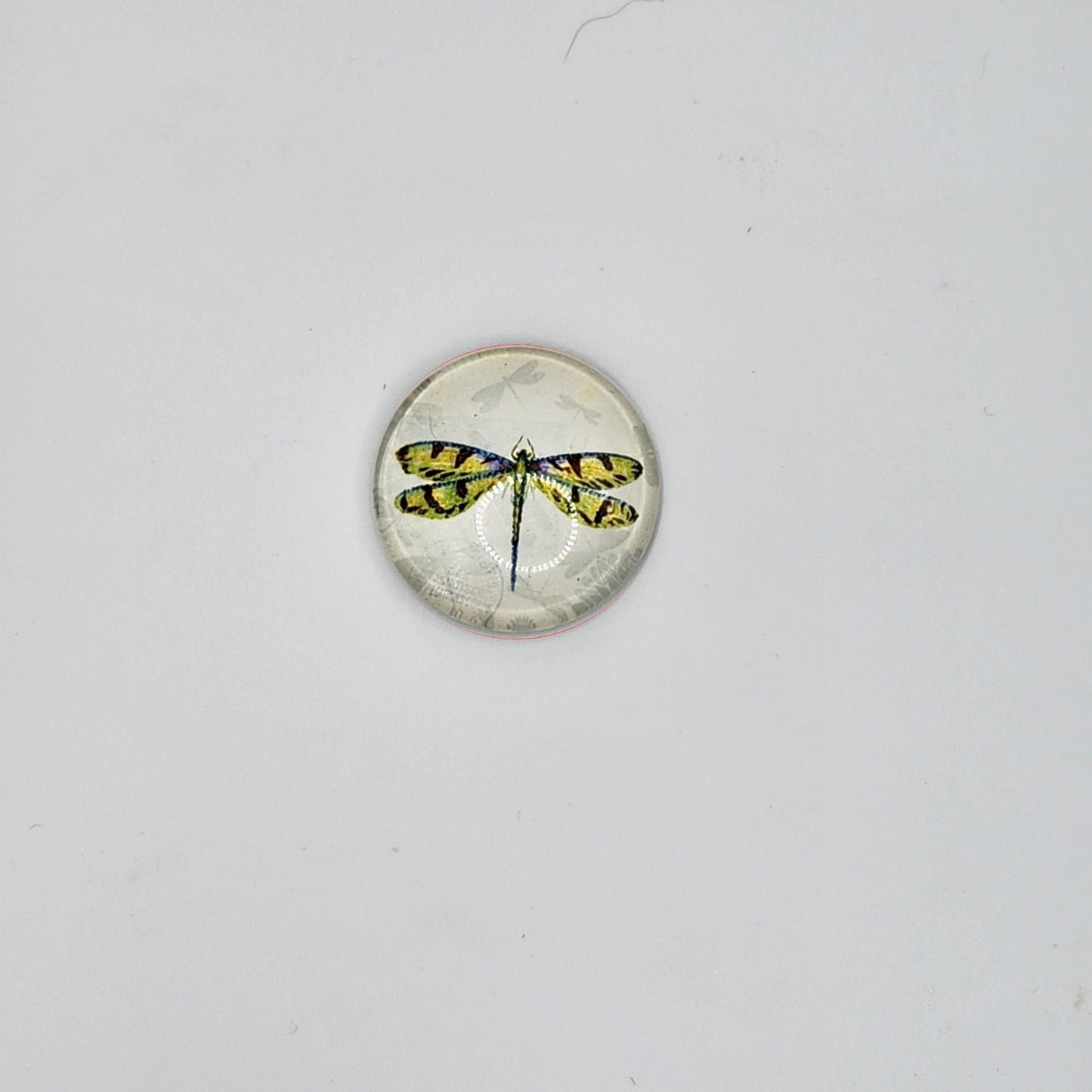 Yellow and green dragonfly refridgerator magnet