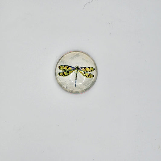 Yellow and green dragonfly refridgerator magnet